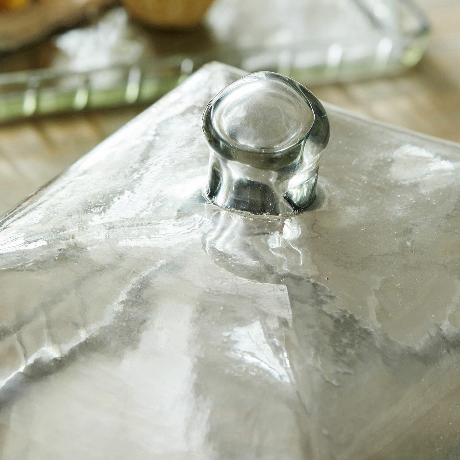 Cloche en verre avec plateau Termes