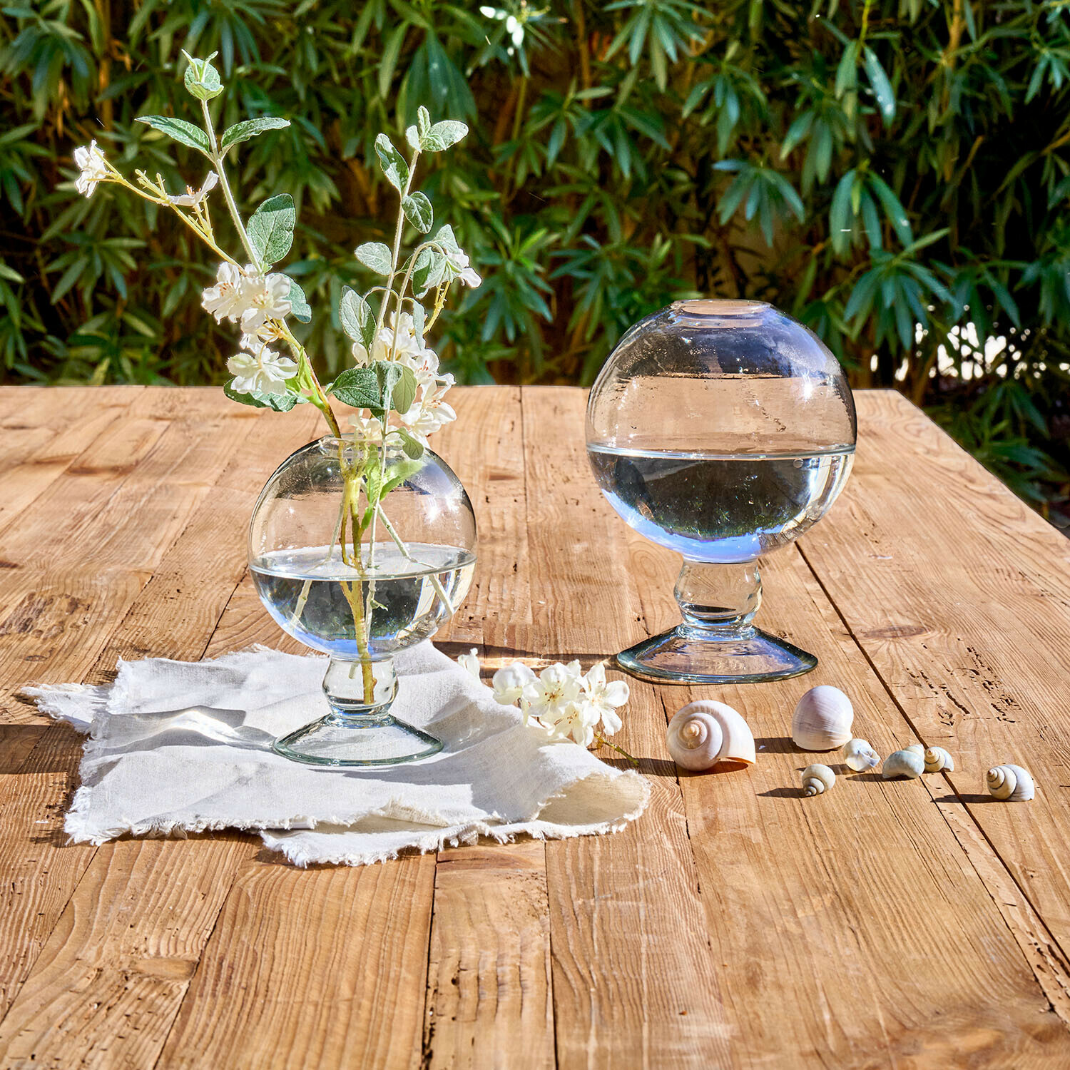 Lot de 2 vases Novalio Boules en verre transparent avec eau, une avec fleurs, sur table en bois avec coquillages décoratifs