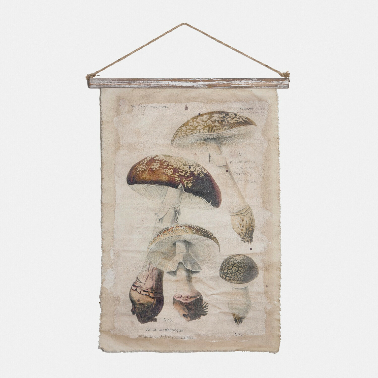 Tableau Rynmor Affiche suspendue en toile avec illustration vintage de champignons, décoration murale naturelle