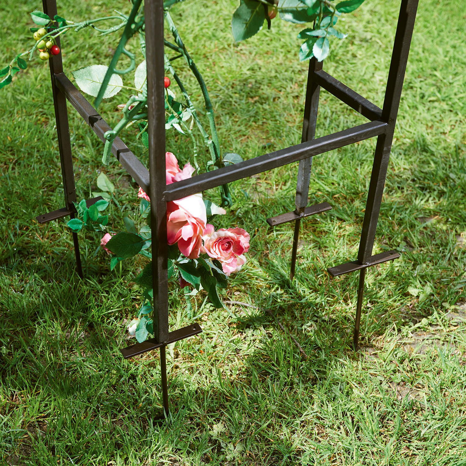 Arche à rosier Irvell