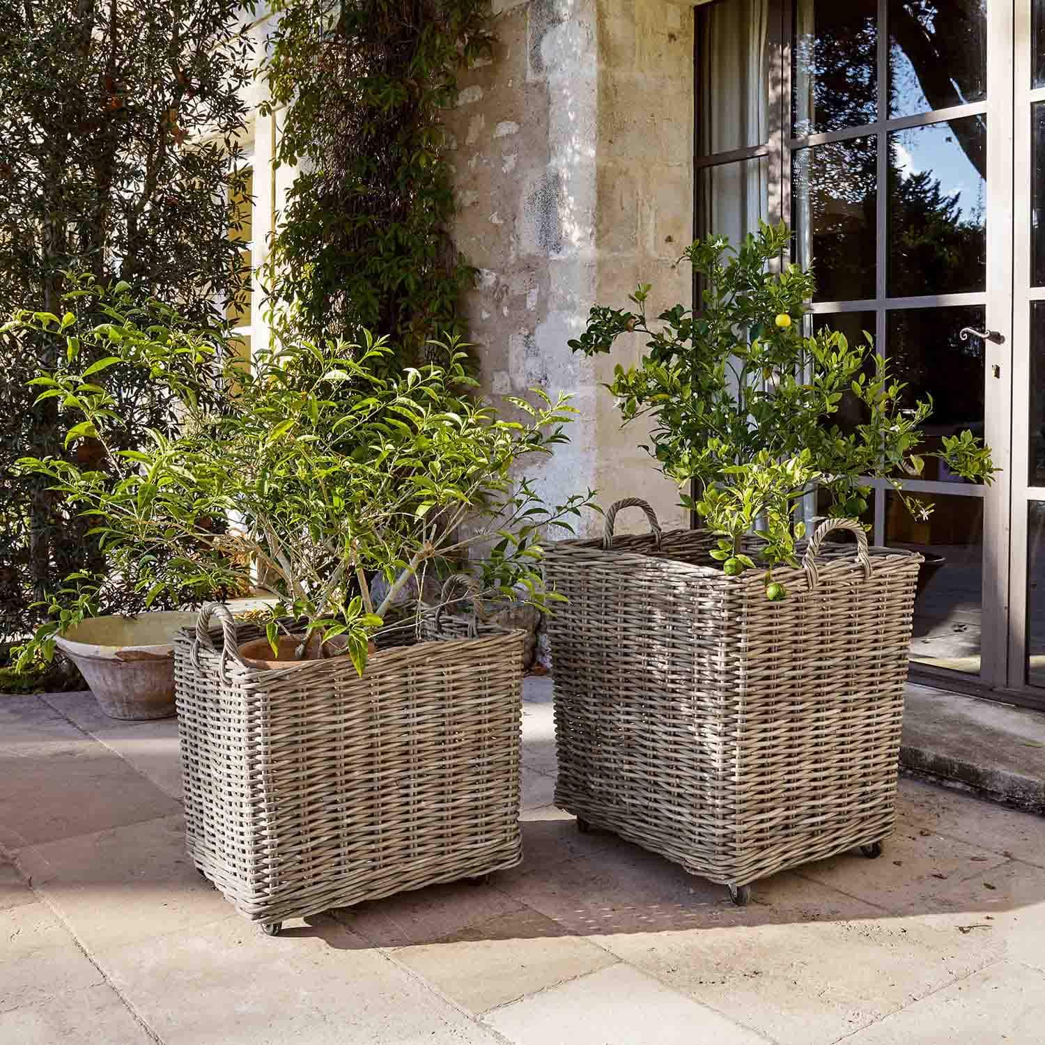 Deux grands paniers en osier gris sur roulettes avec plantes vertes sur une terrasse en pierre