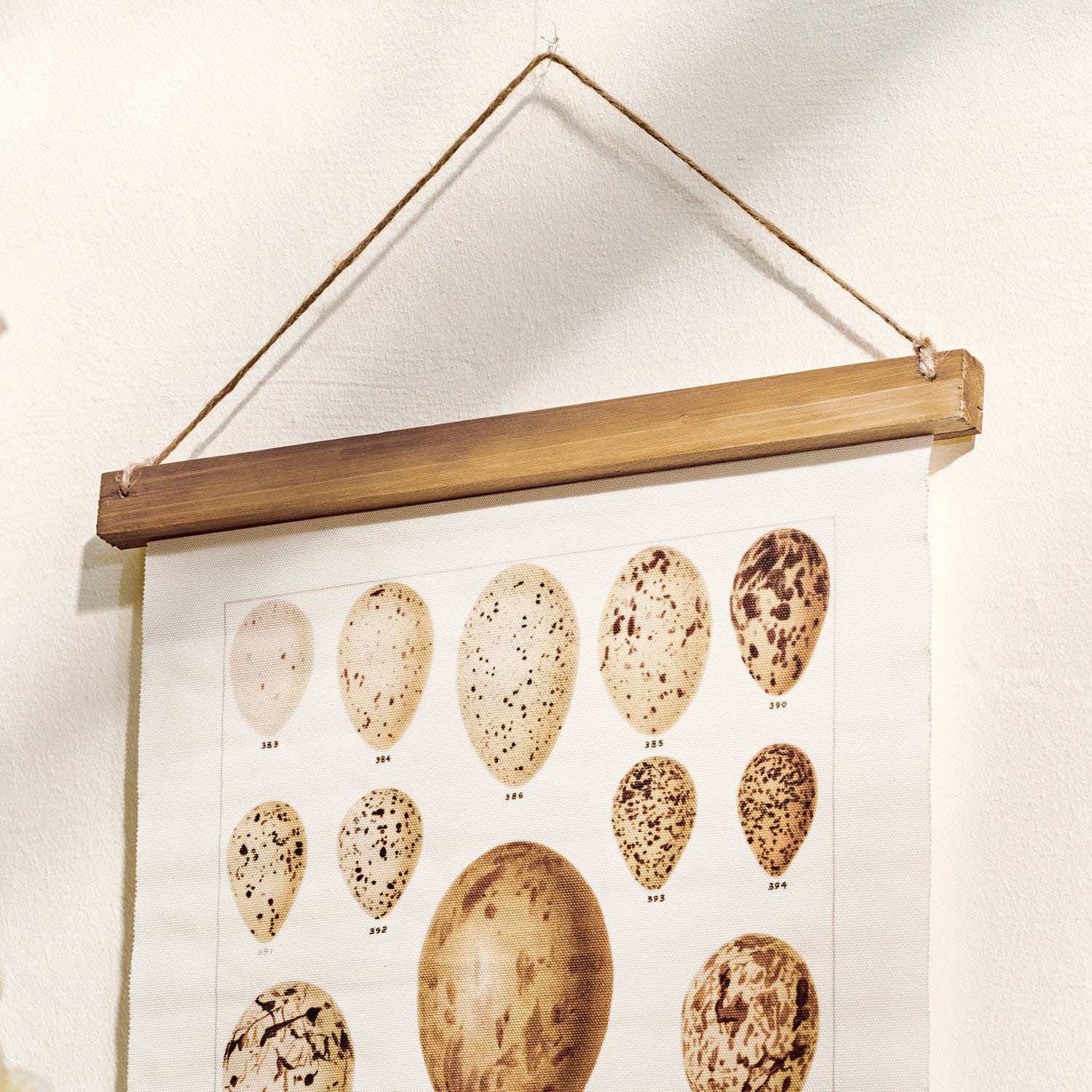 Tableau Taibor