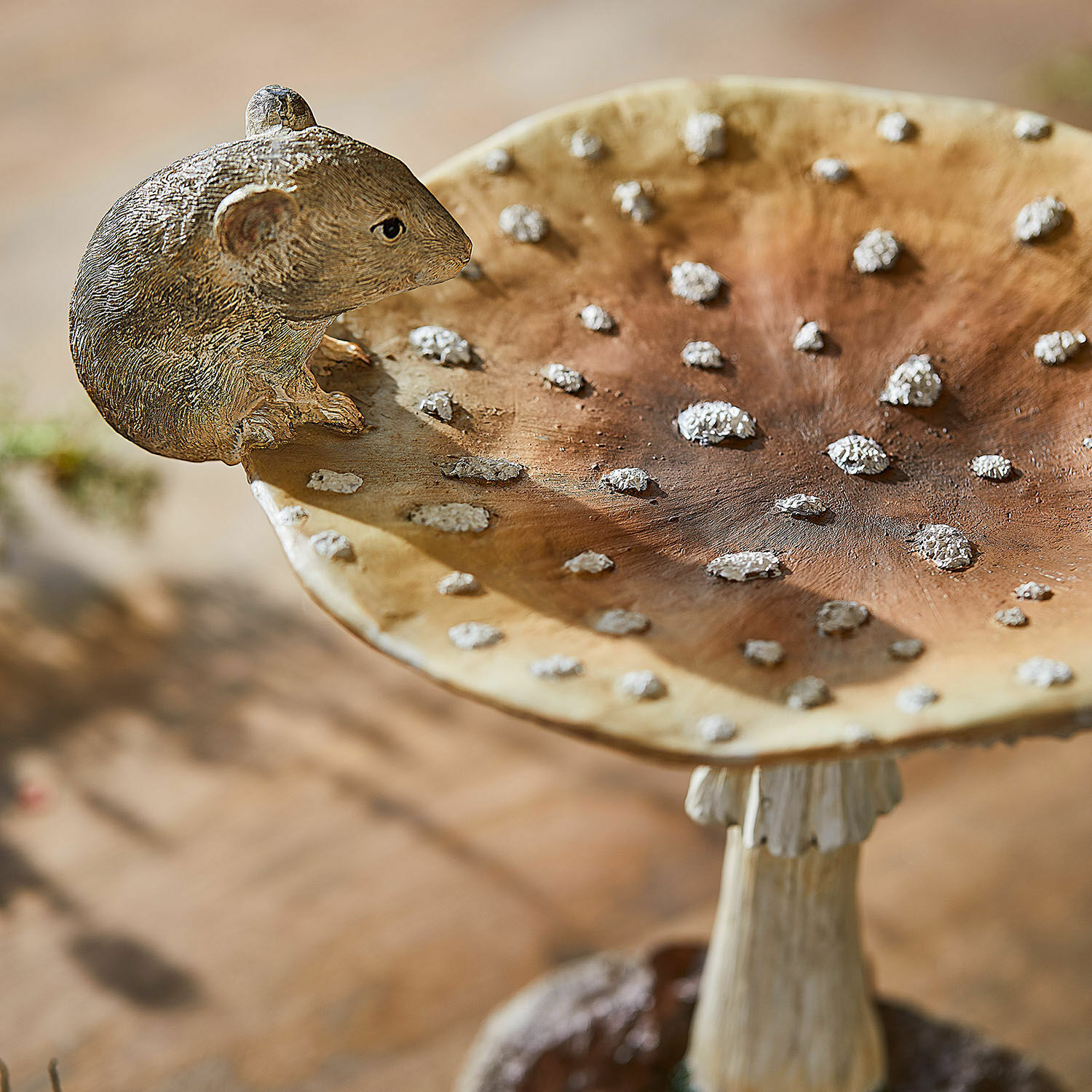 Champignon décoratif Isolise