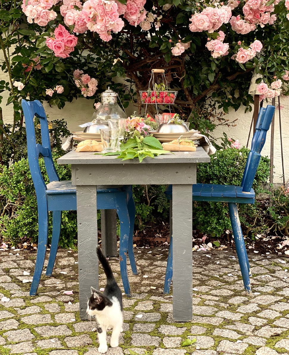 Table de jardin grise en bois avec chaises bleues et décor floral sur patio pavé avec chat