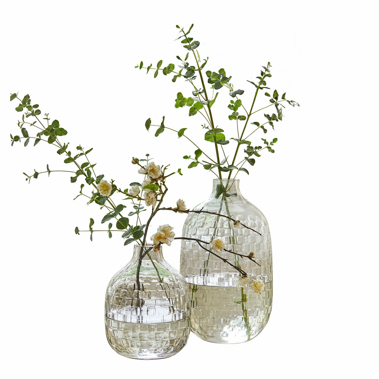 Lot de 2 vases Qervilon Deux vases en verre transparent à motif quadrillé avec branches vertes et fleurs blanches