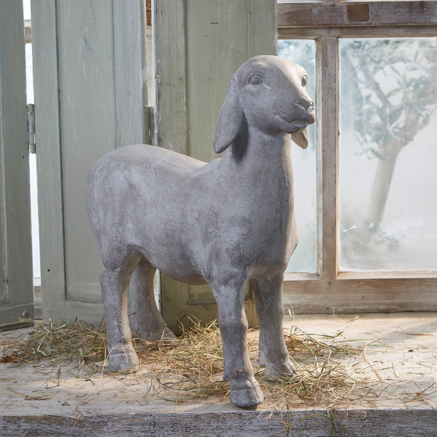 Mouton Mouton